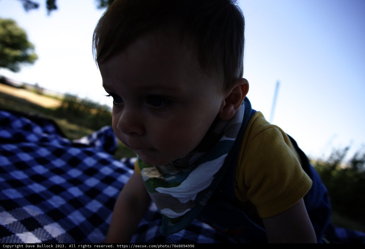Summer Blues - Baby Blues in Bayfront Park, 2023