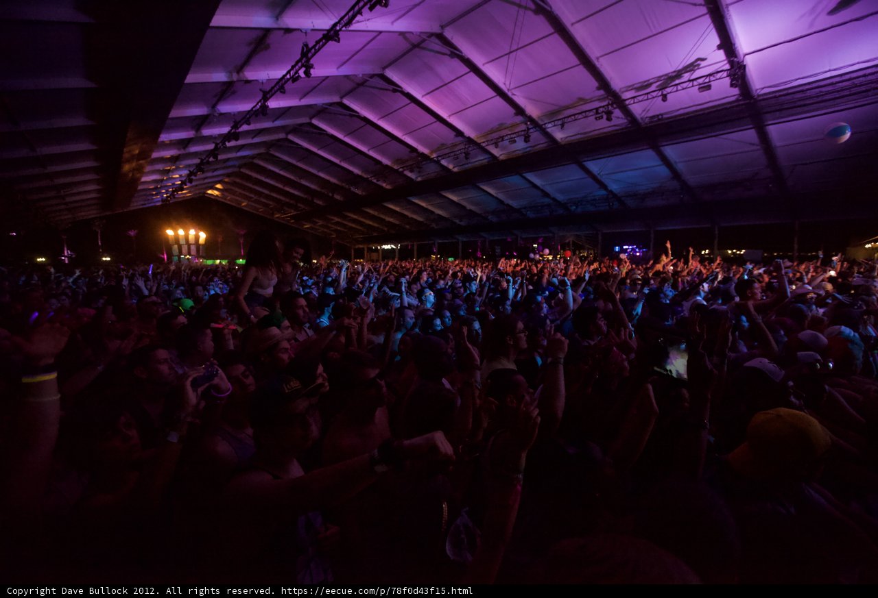 Coachella 2012: The Electric Crowd