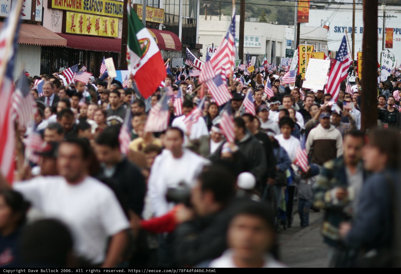 Unity in Flags