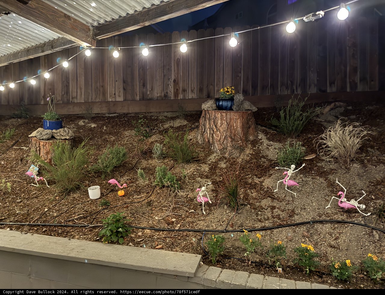 **Twilight in the Whimsical Garden**