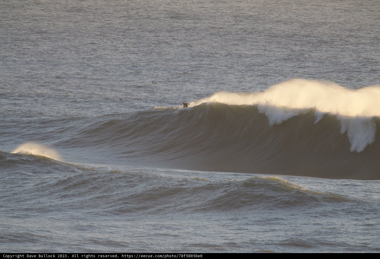 Mavericks Mastery - The 2023 Big Surf Day Highlight