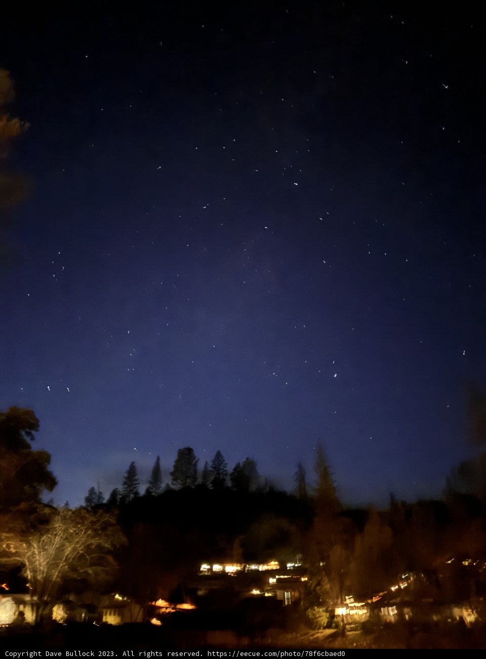 Starry Awe in December Night