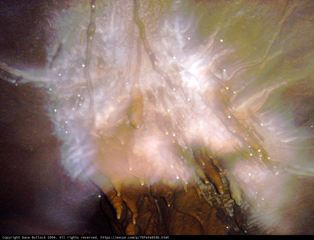 Cosmic Jellyfish