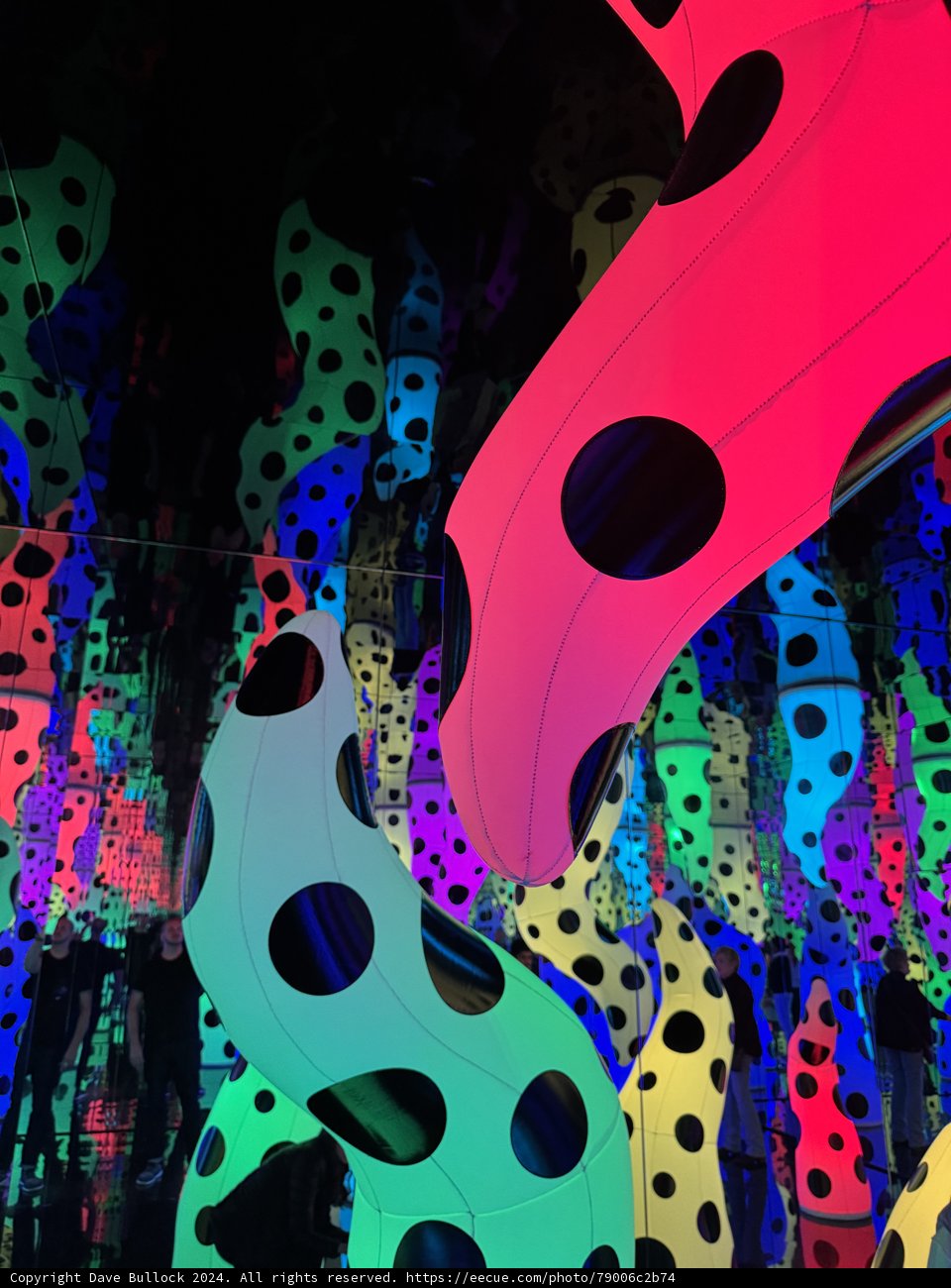 Exploring the Polka Dot Cosmos: Kusama's Artistic Marvel