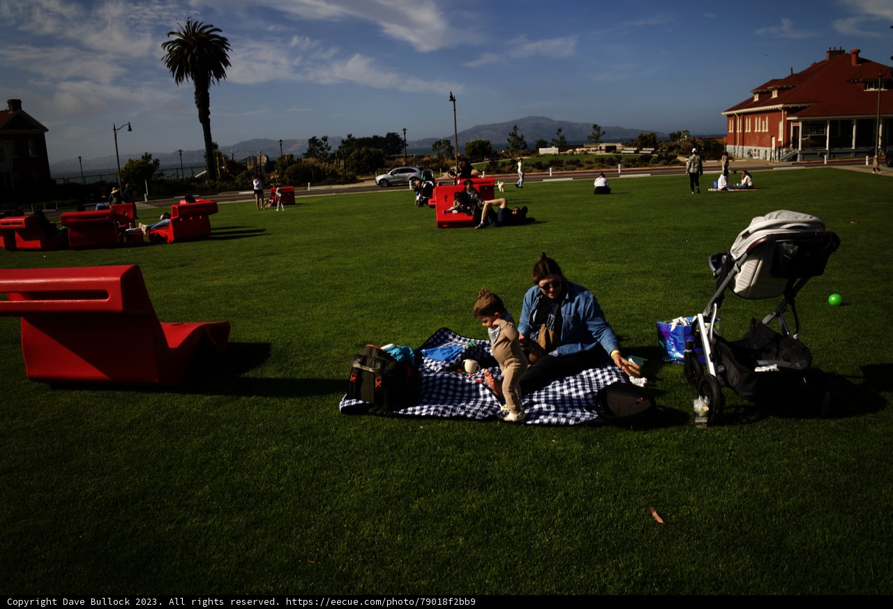 Summer Oasis: A Family Moment