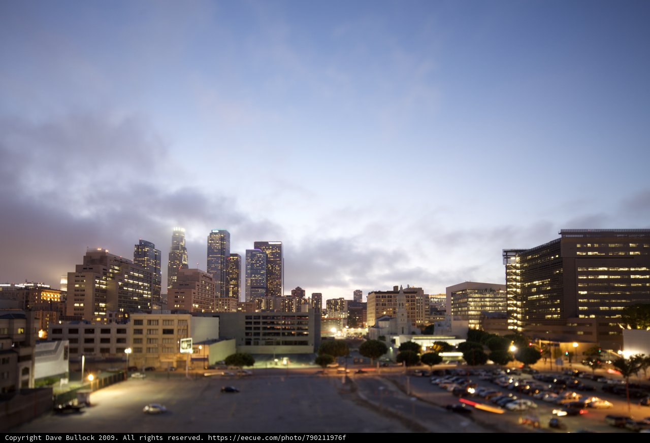 Rush Hour in the Urban Jungle