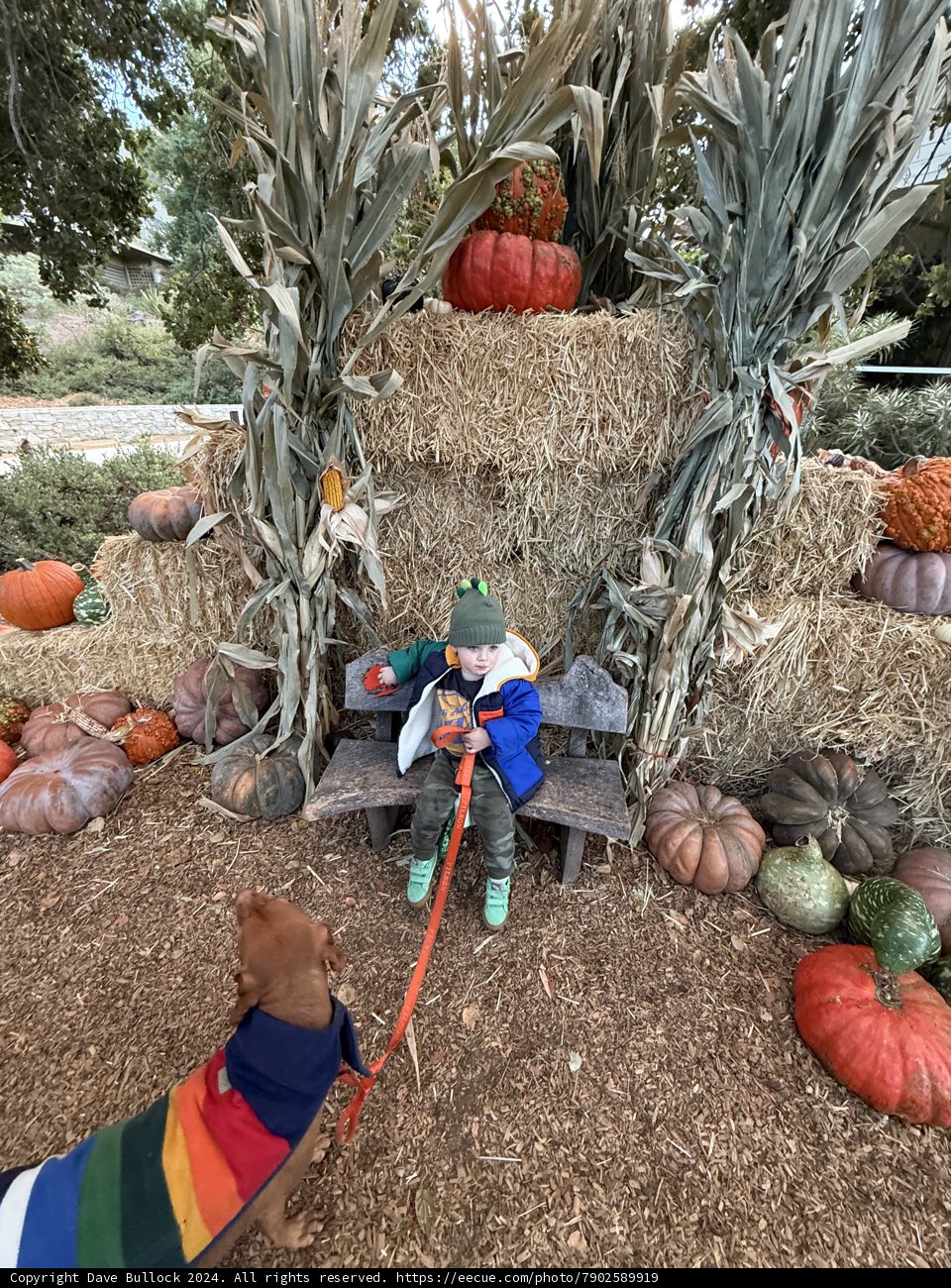 Autumn Harvest Adventure