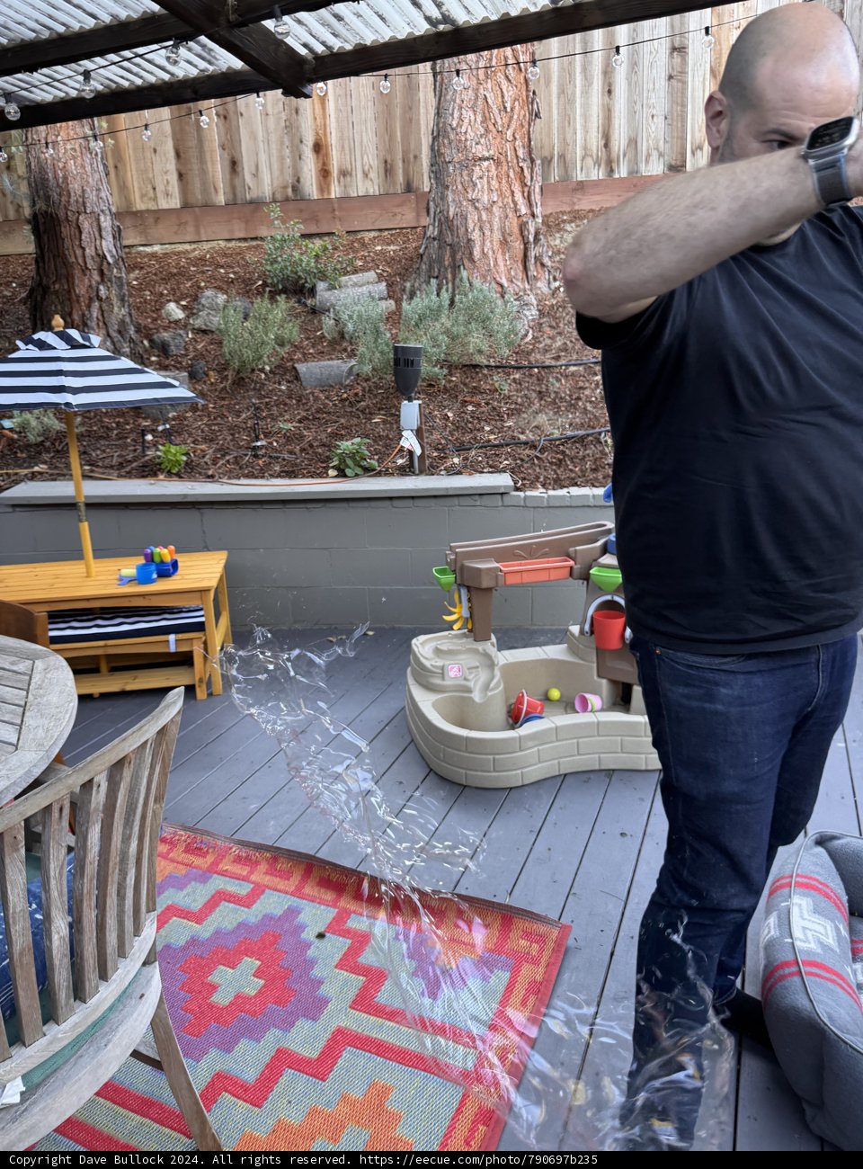 Summertime Backyard Moments