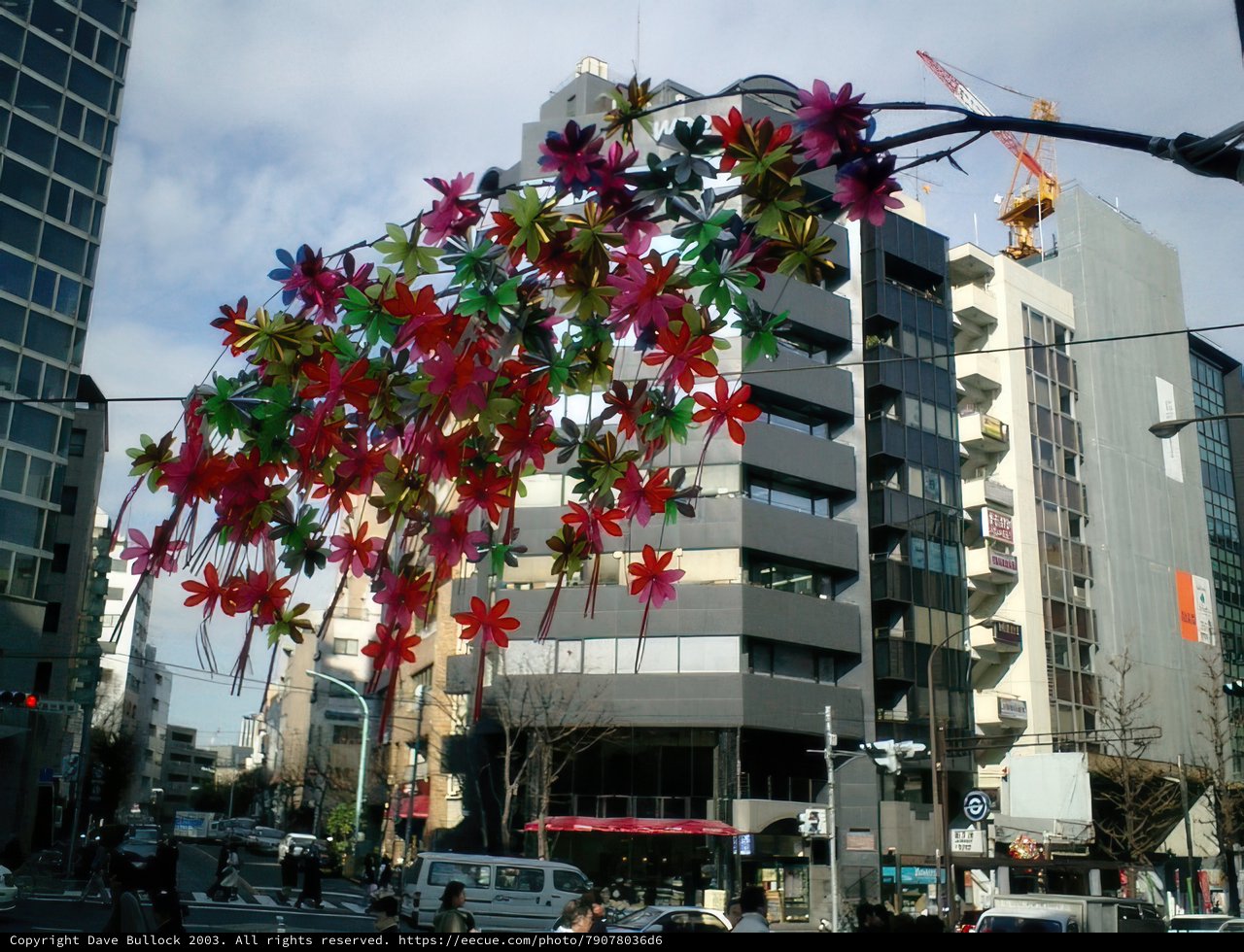 Colorful Street Decoration in Tokyo