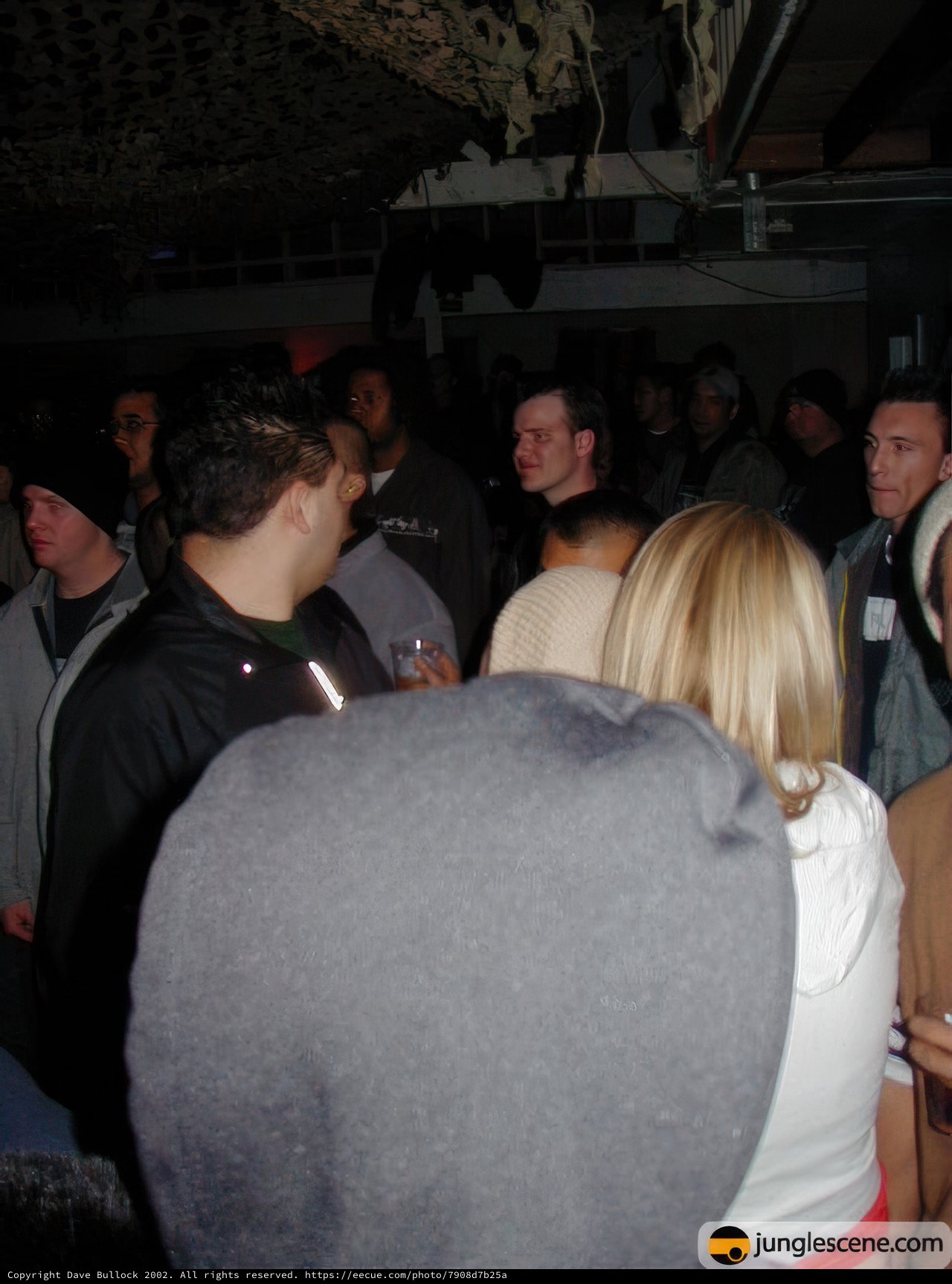 Nightclub Gathering