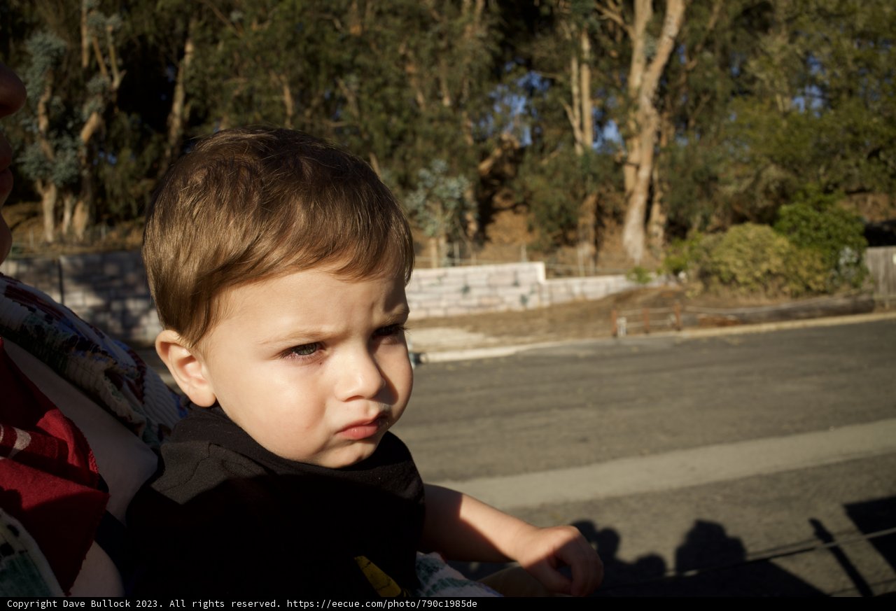Contemplative Moments at the SF Zoo