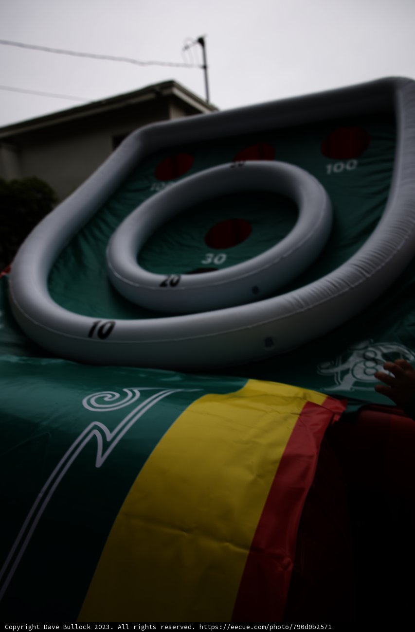 Gigantic Fun at Cam's Grad Party