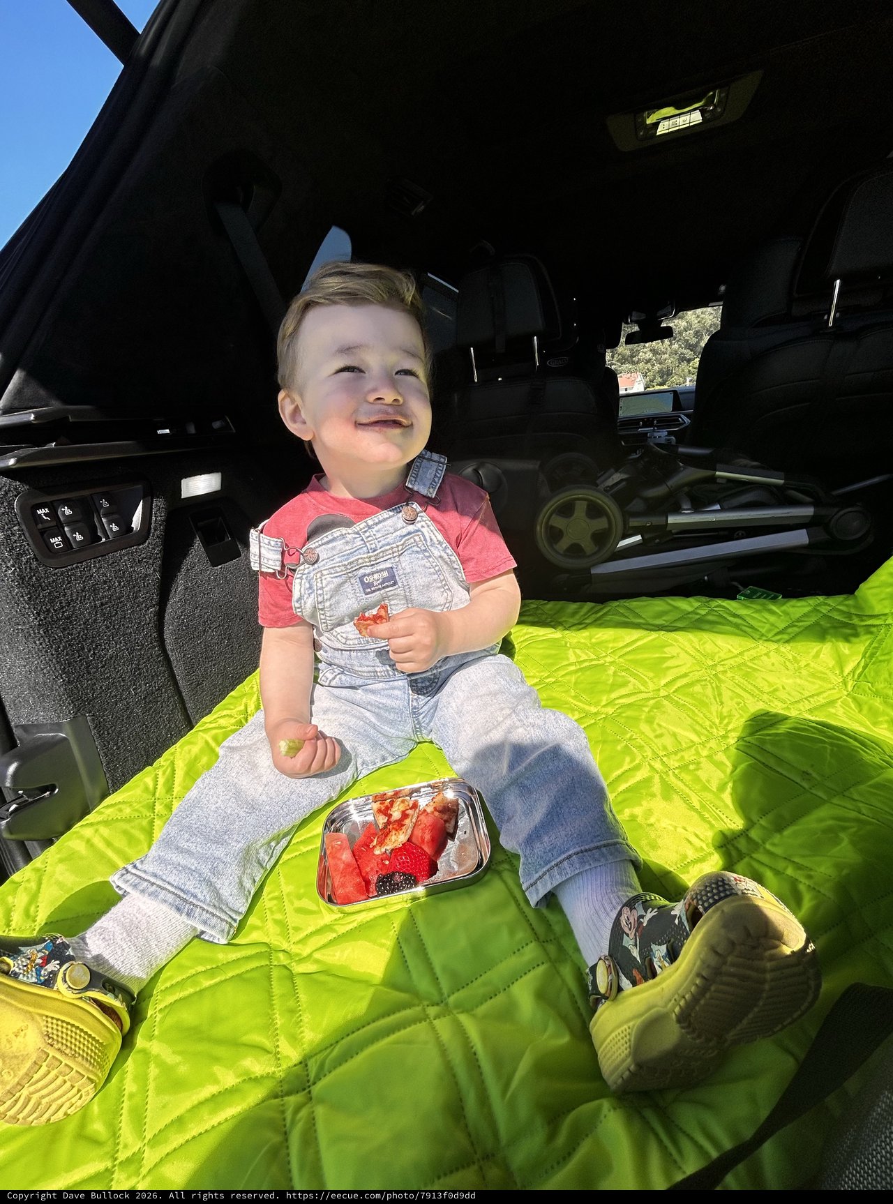 Young Boy Enjoying Picnic in SUV Trunk