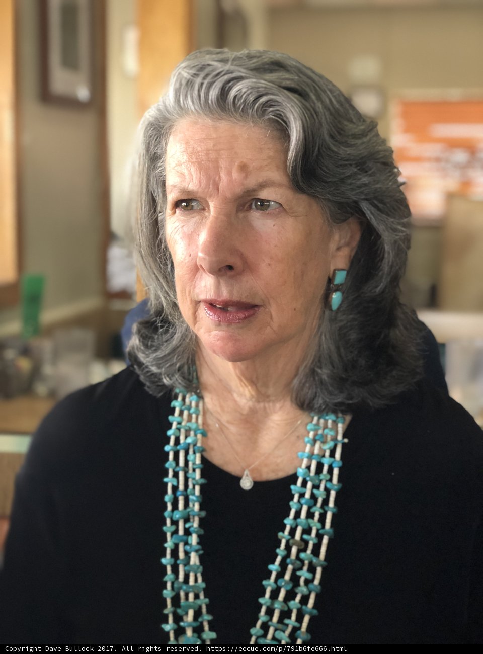 Bead Necklace and Gray Hair