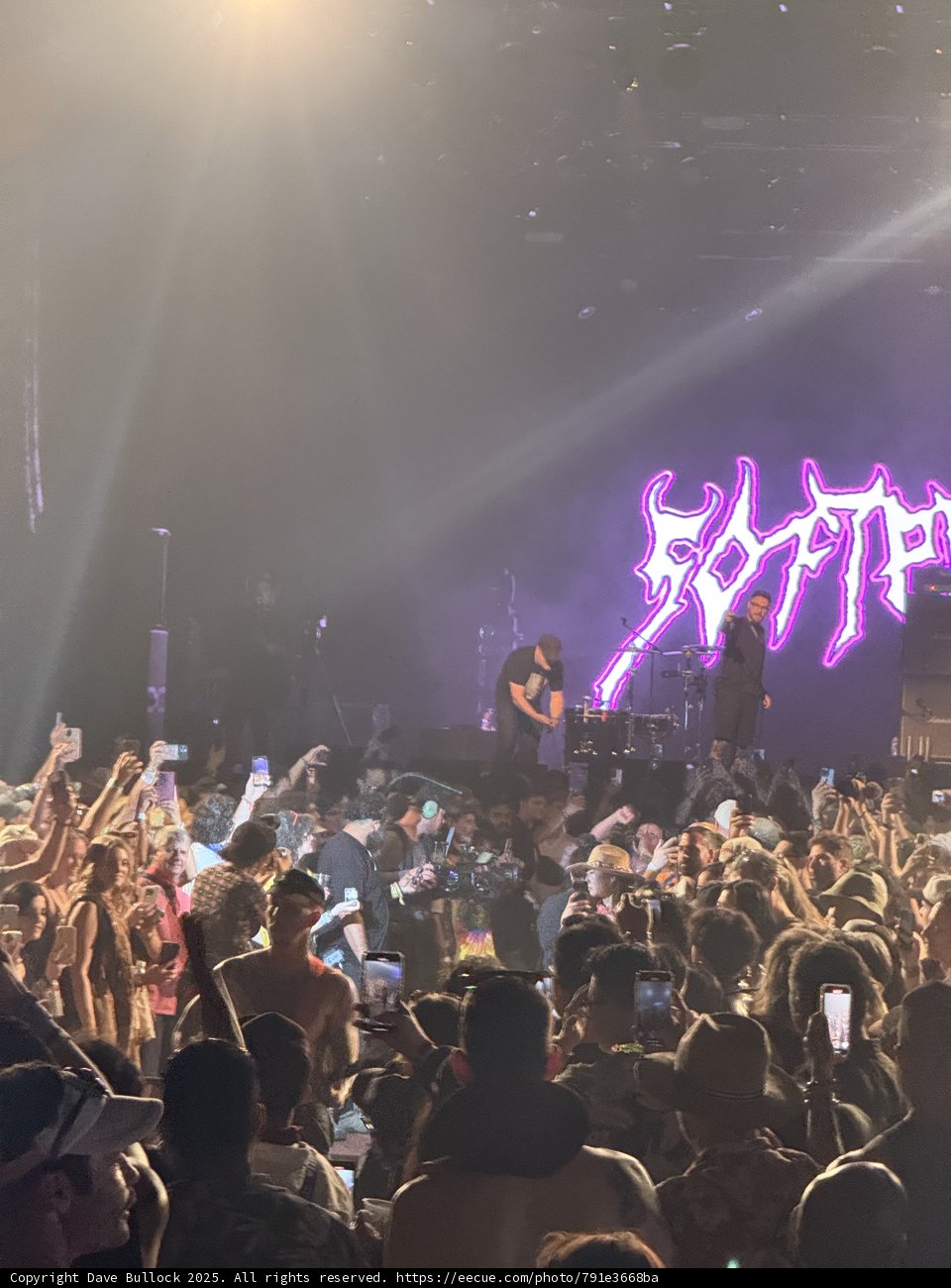 Electrifying Nights at Empire Polo Club