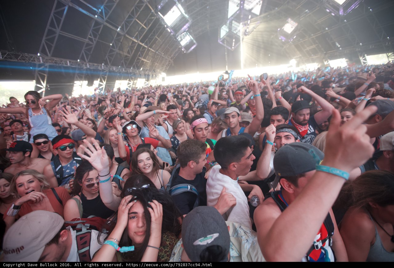 Coachella 2016 Crowd Madness