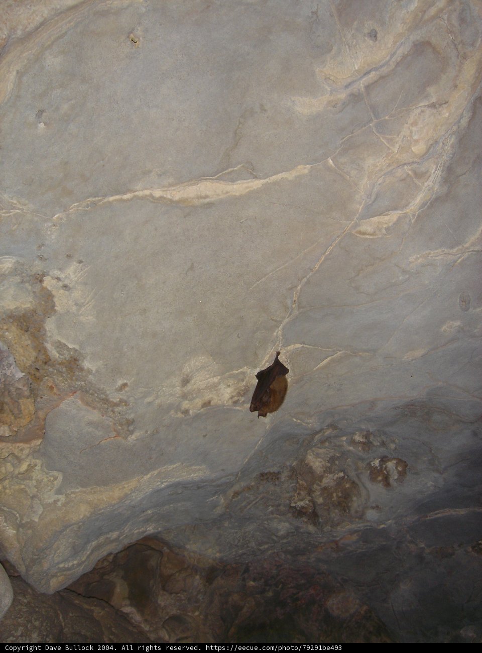Hanging in the Cave
