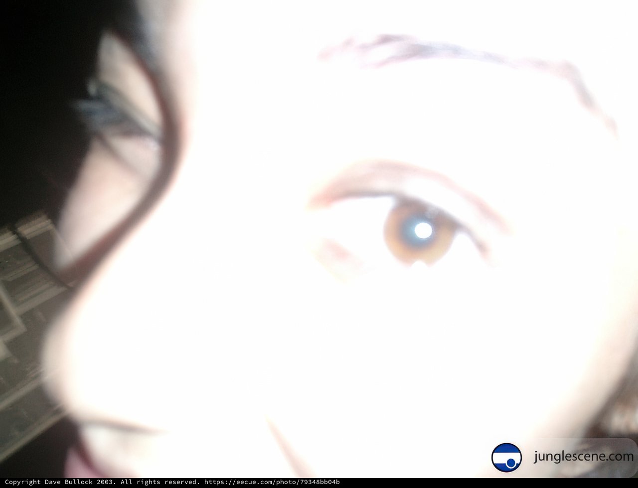 The Beauty of the Brown Eye