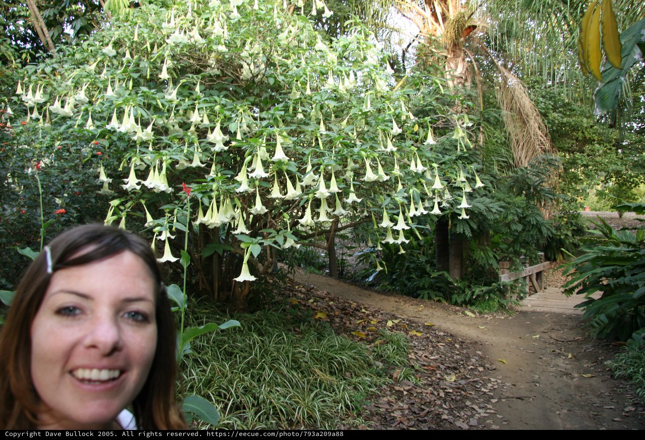 Smiling Woman Before Angel's Trumpet Garden Path