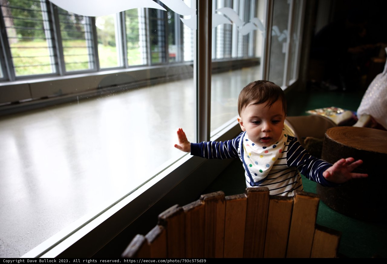 Wesley's Wooden Wonder