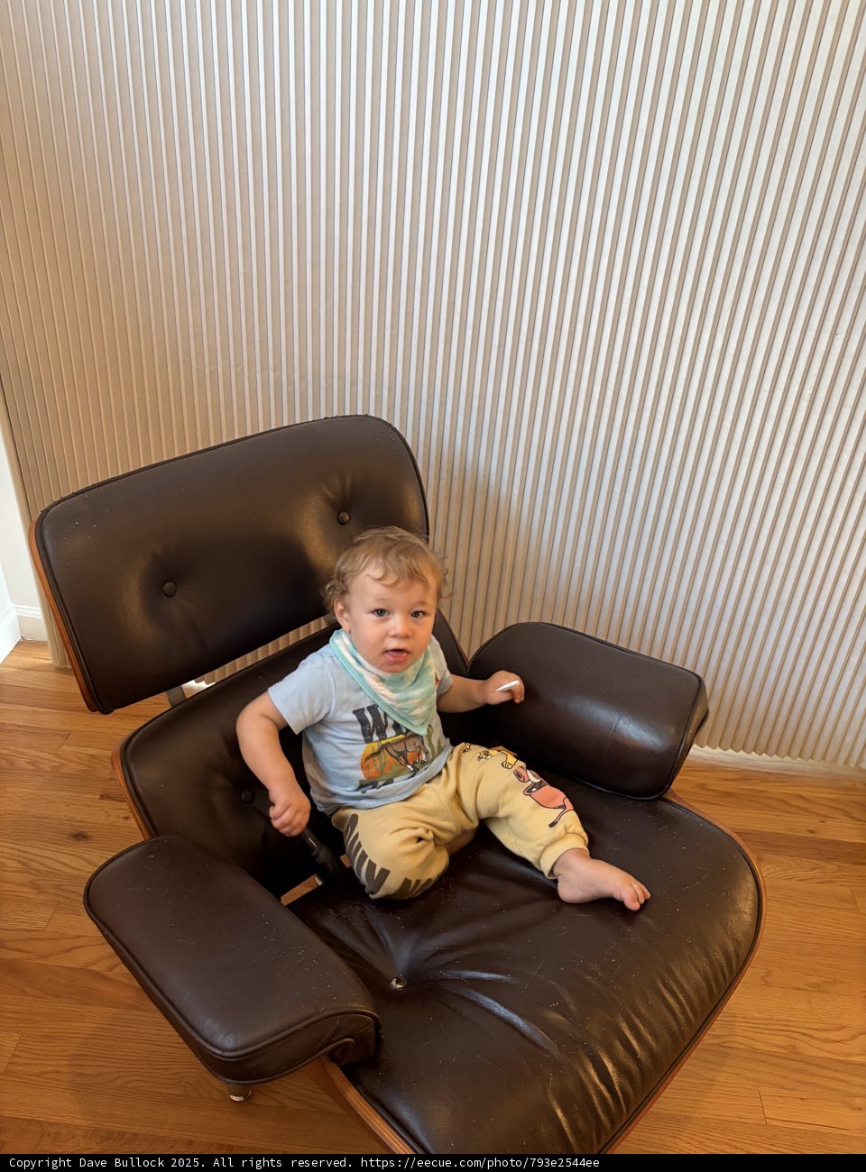Little Explorer in a Big Chair
