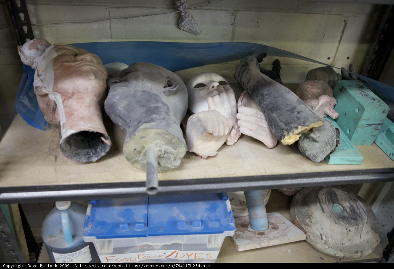 Animal Heads Displayed on Plywood Shelf