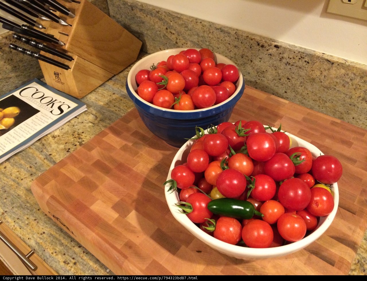 Freshly Picked Tomatoes from Altadena