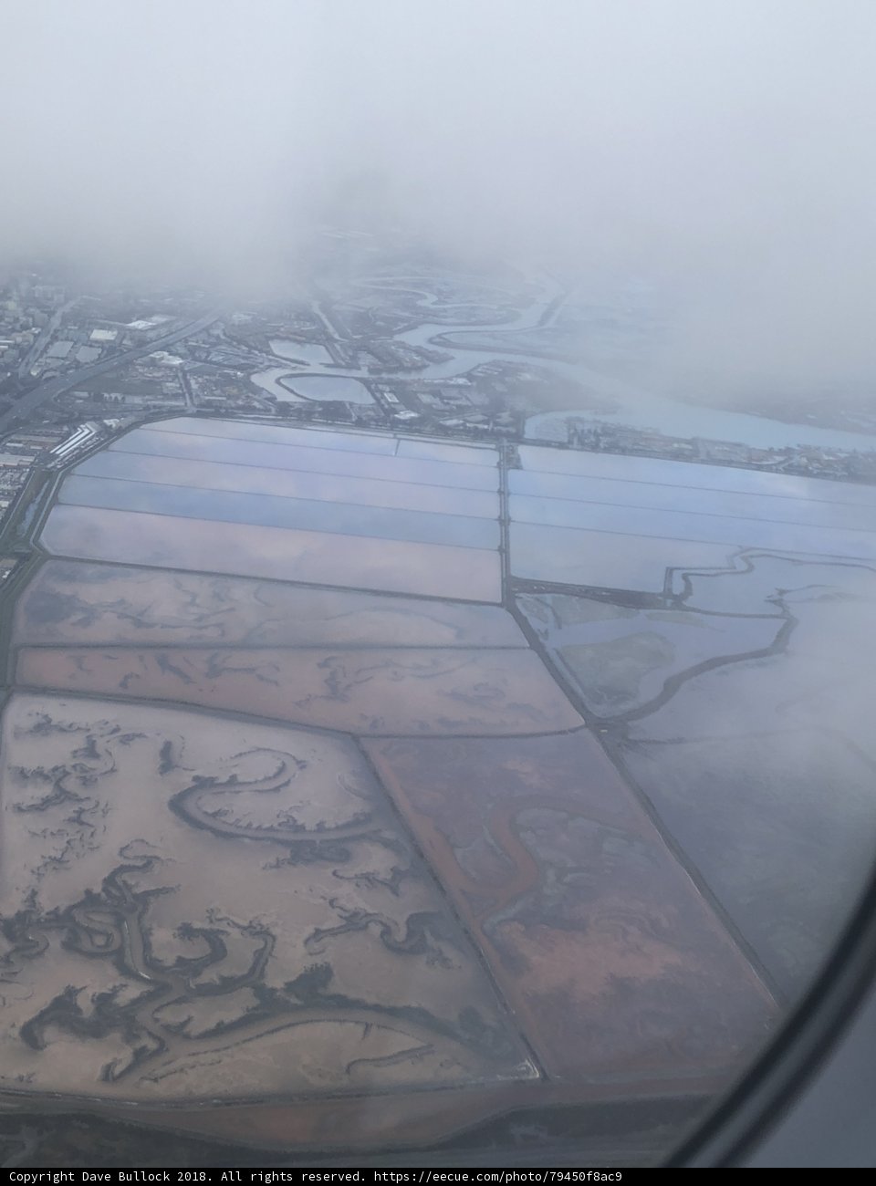Foggy Field and Water