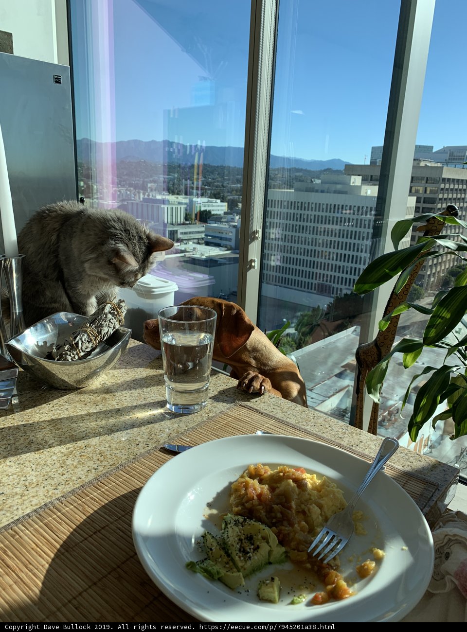 Lunchtime Pals