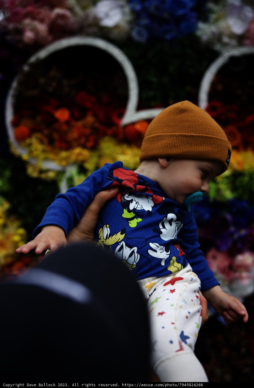 Blooming Bond at Disneyland