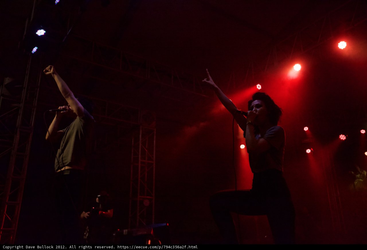 Raising the Roof