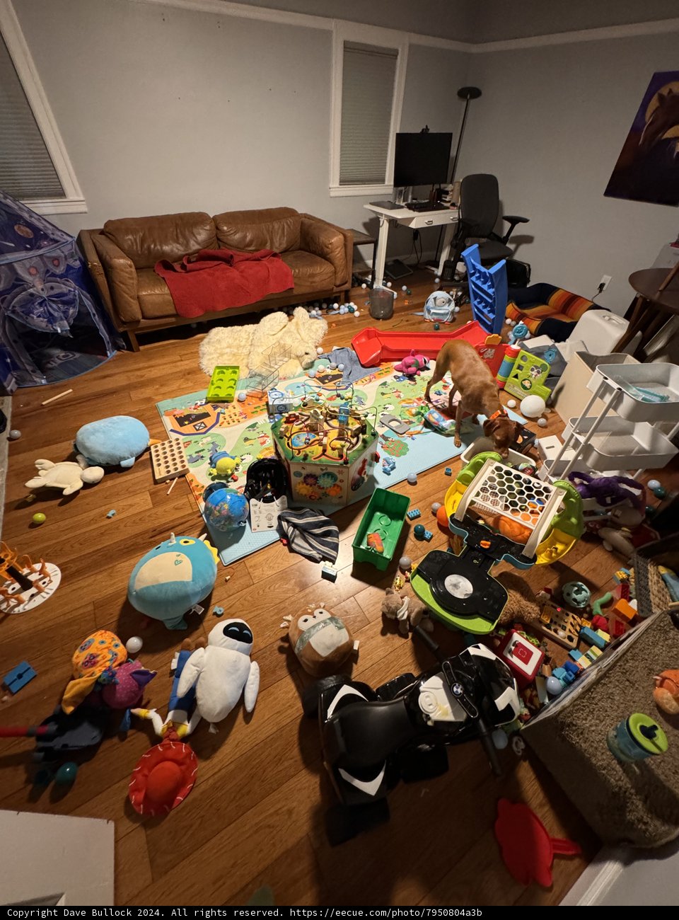 The Aftermath of Playtime