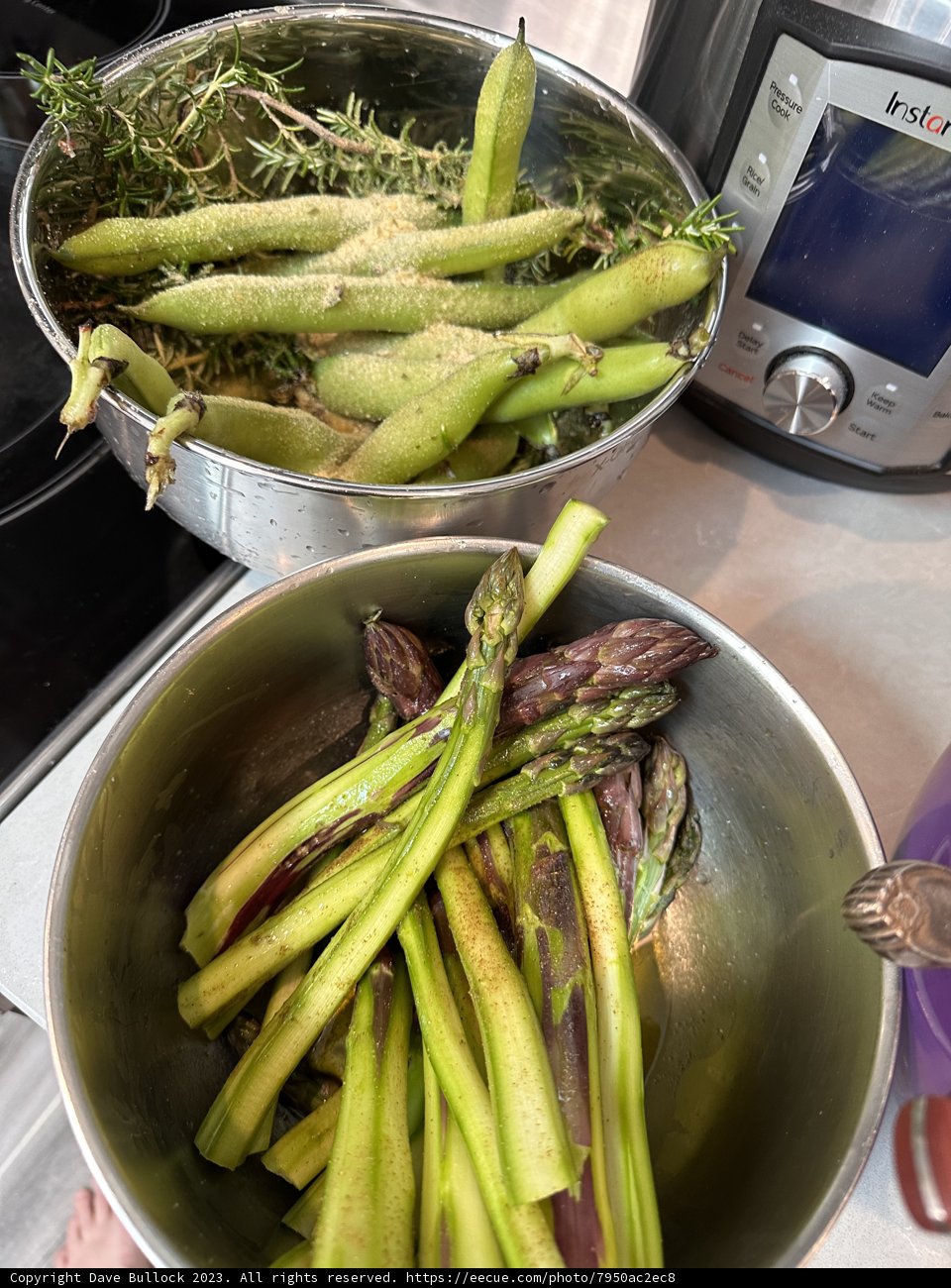 The Joys of Green Cooking
