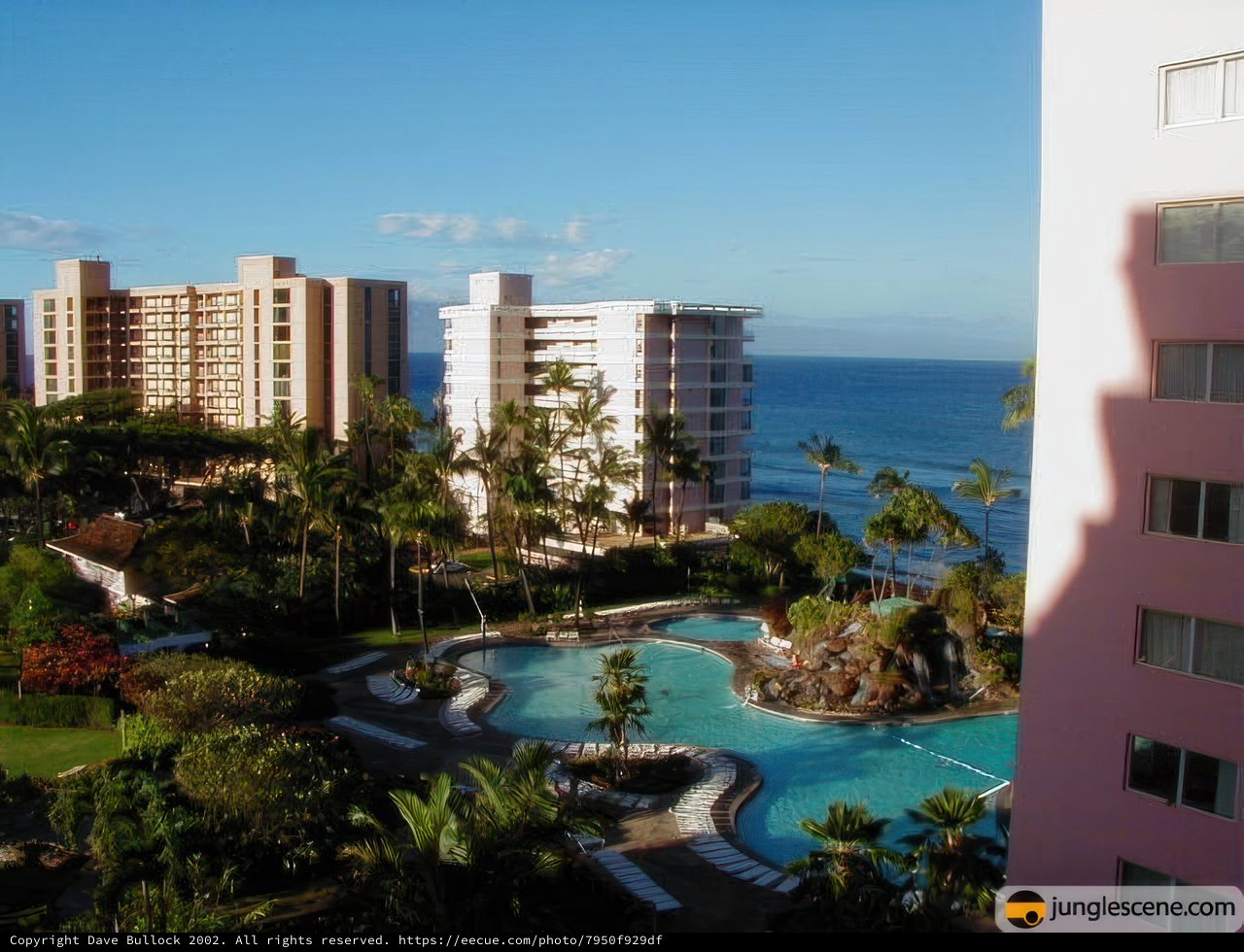 Ocean View from a Hawaiian Resort Balcony