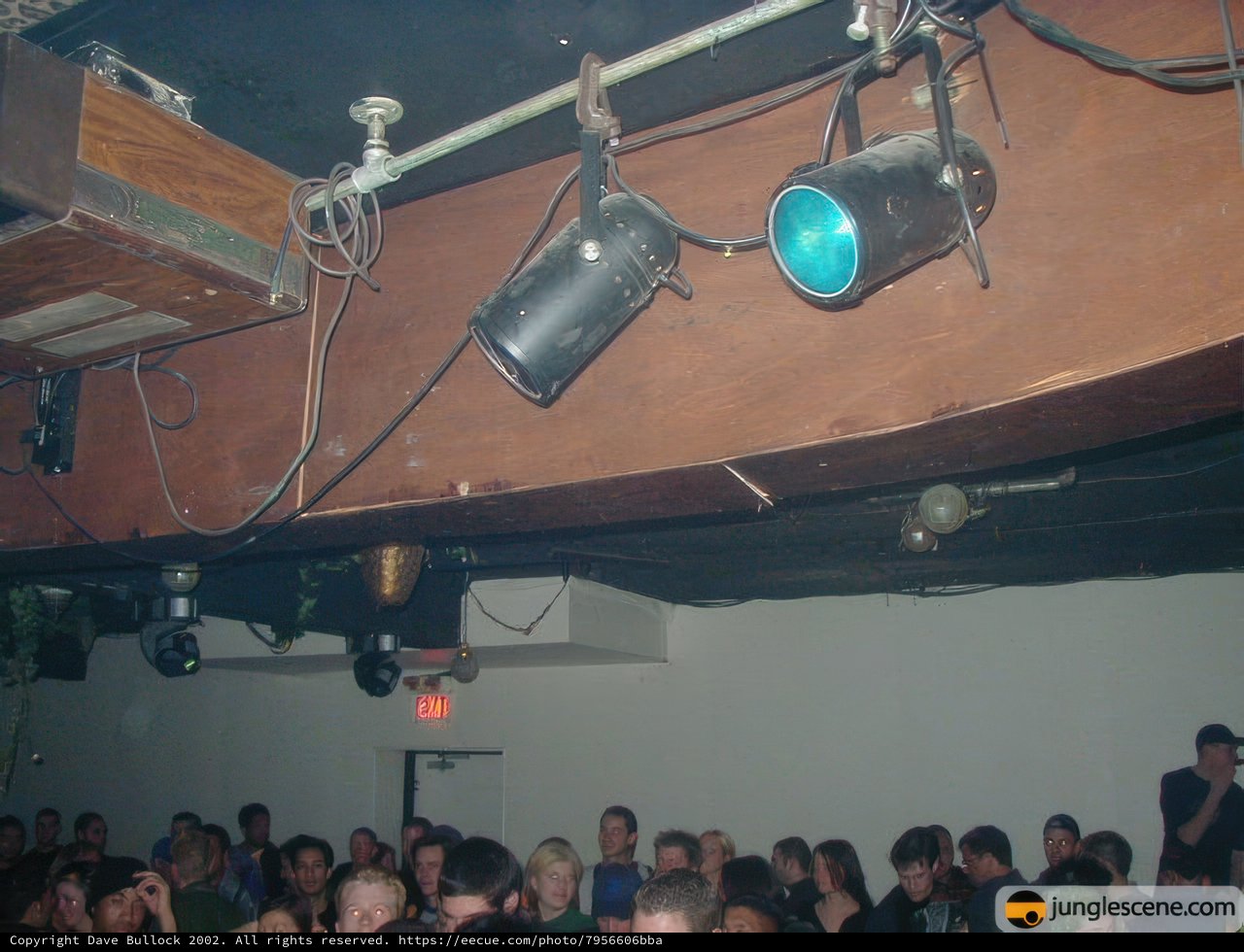 Lights, Crowd, Action