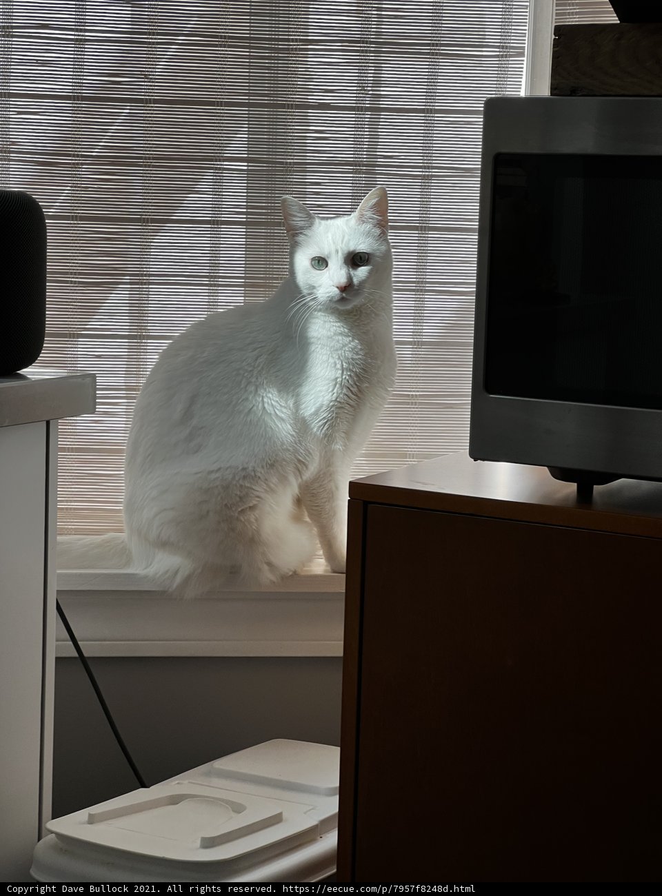 Window Watcher