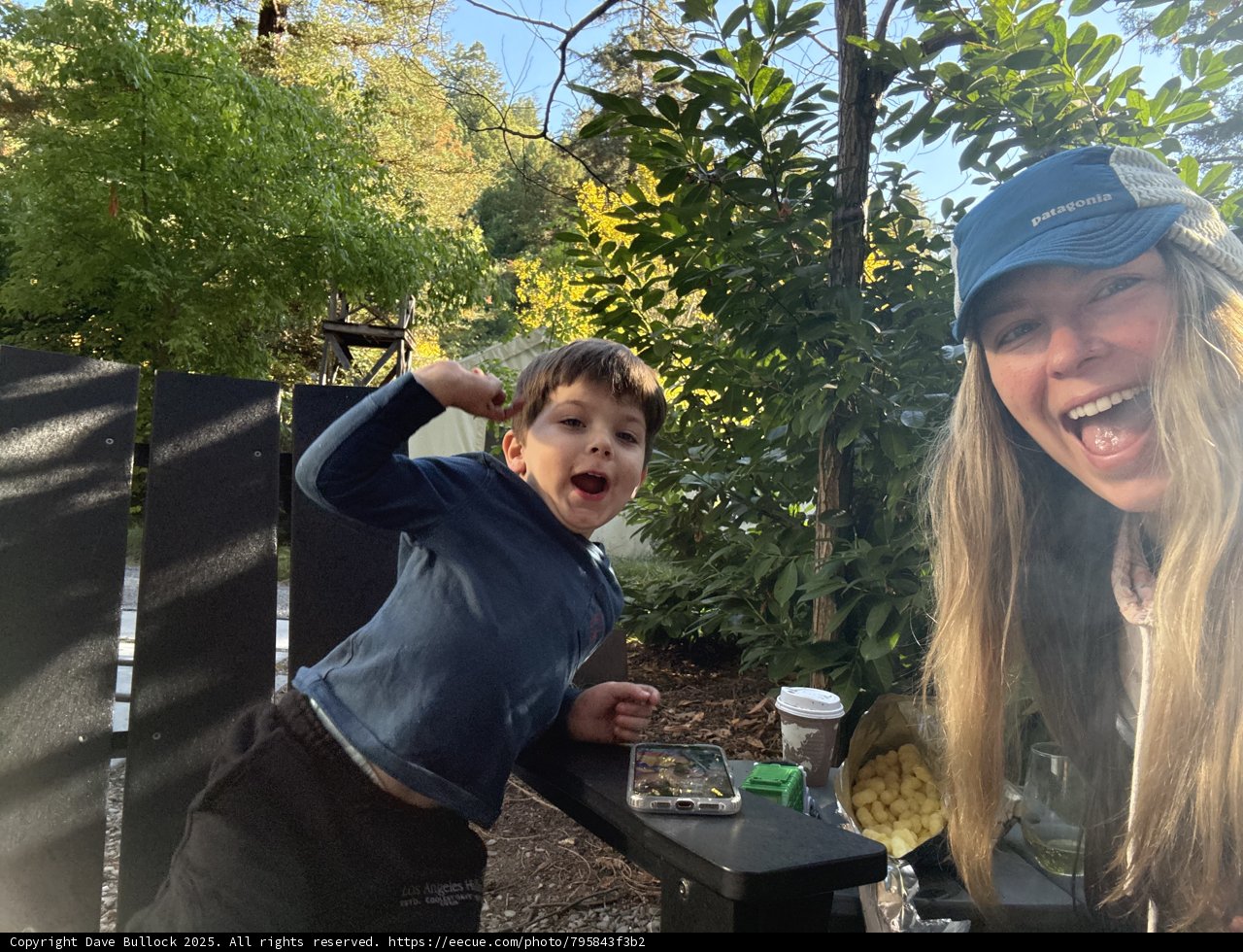 Joyful Moments in Nature