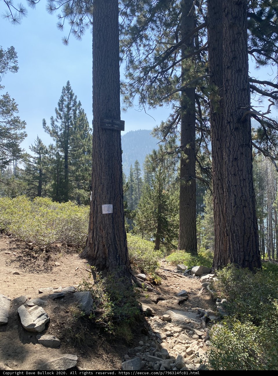 Trail Adventure