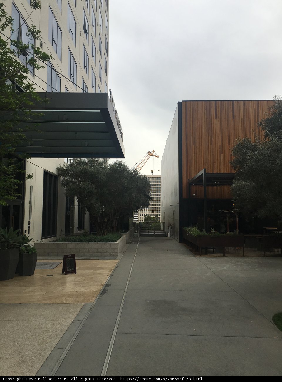 Wooden Roofed Urban Building