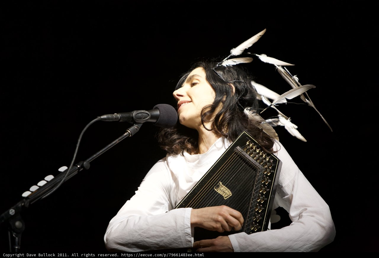 Feathered Musician