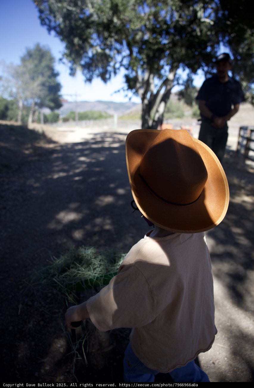 A Day at the Ranch