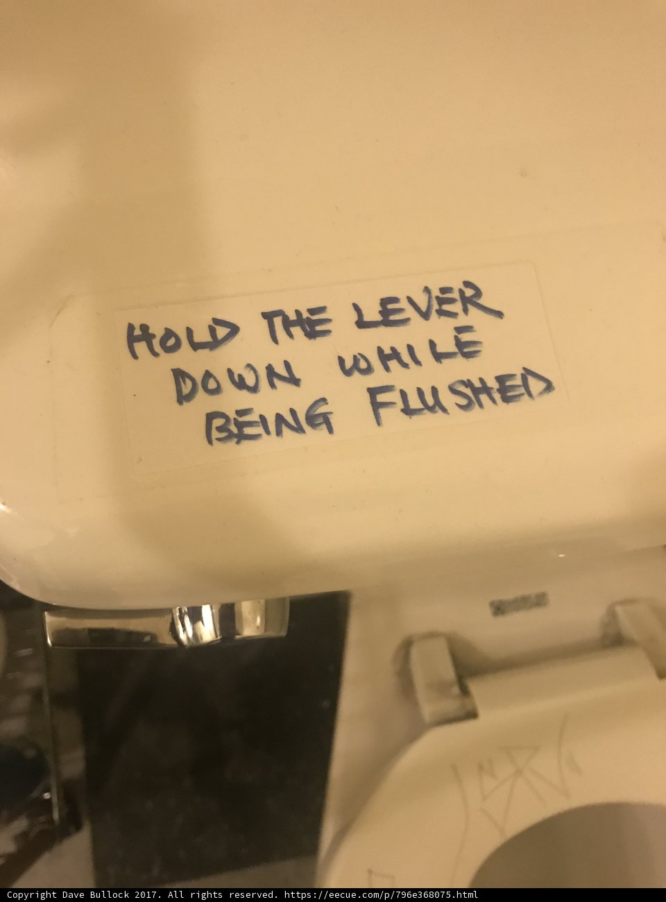 Flushing the Japanese Village Plaza Toilet