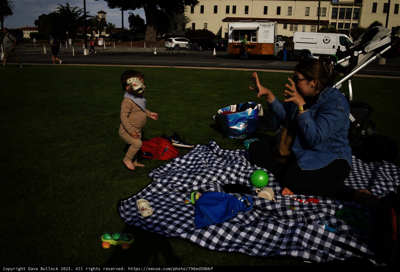 Sunny Days in Presidio Park, 2023