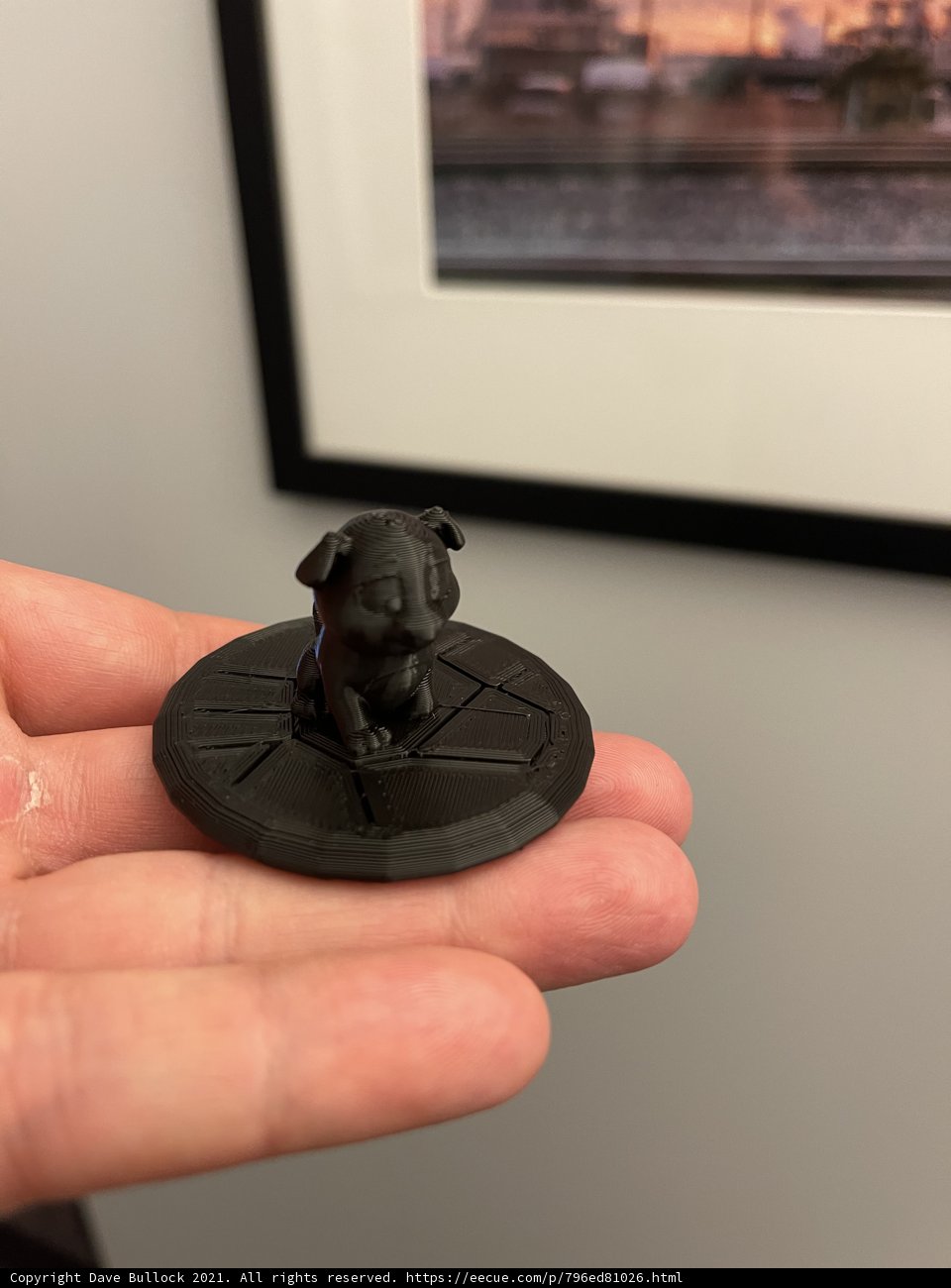 Black Dog on a Plate