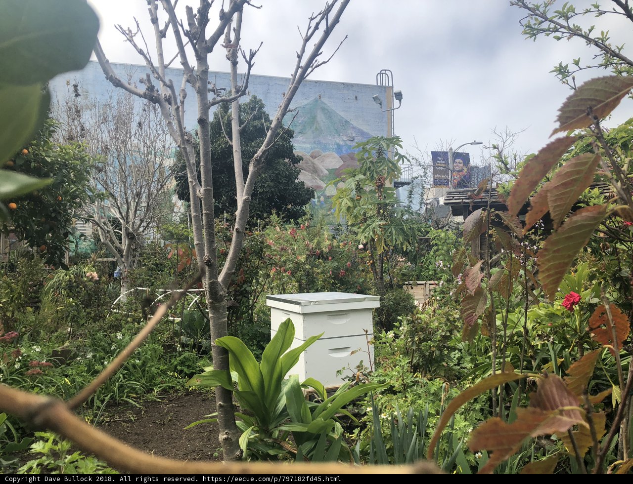 Serene Garden Sanctuary