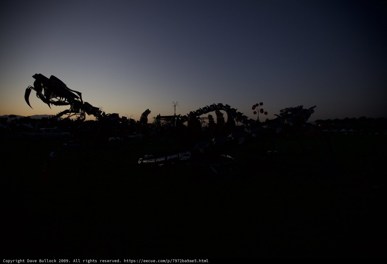 Arachnid at Dusk