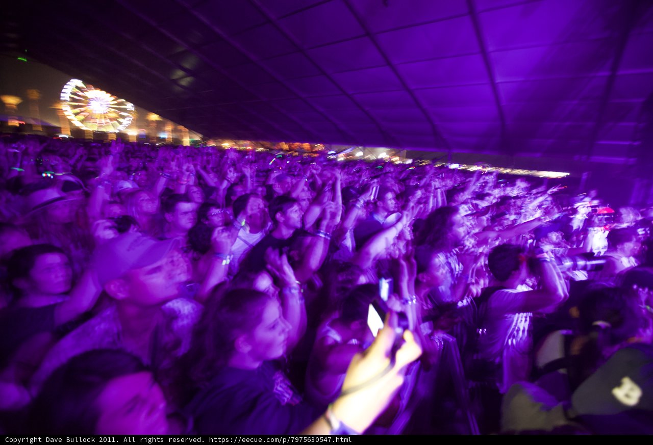 Purple Haze
