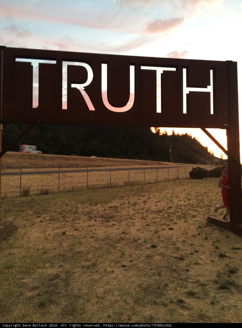 The Truth in the Fields