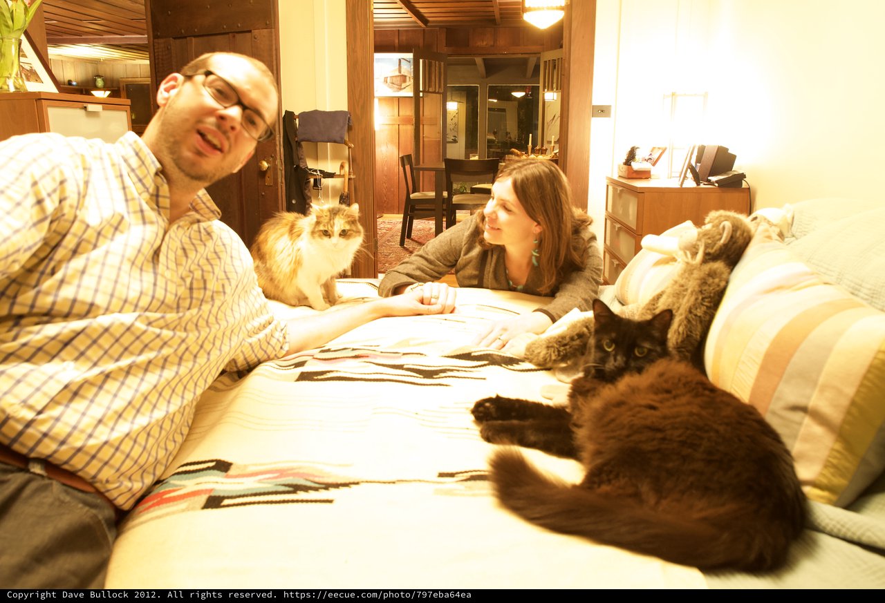 Cozy Bedroom Evening with Two Cats and Couple