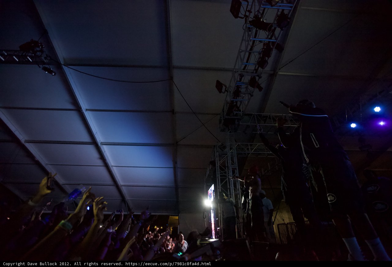 High Energy Crowd at Coachella Concert
